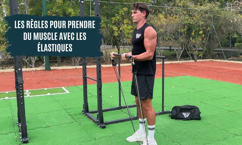 5 règles essentielles pour prendre du muscle avec des élastiques de musculation
